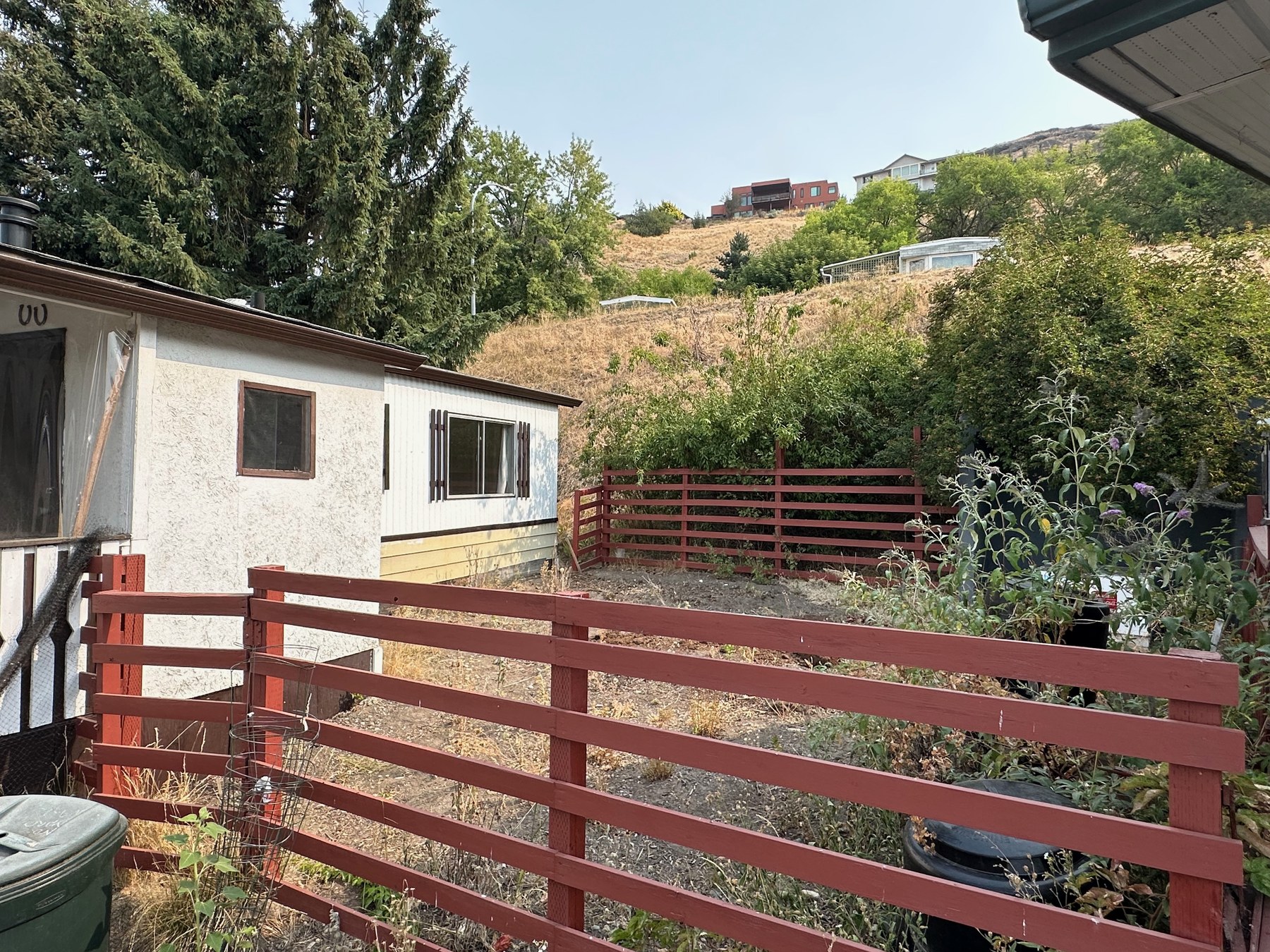 Fenced yard area in its current condition